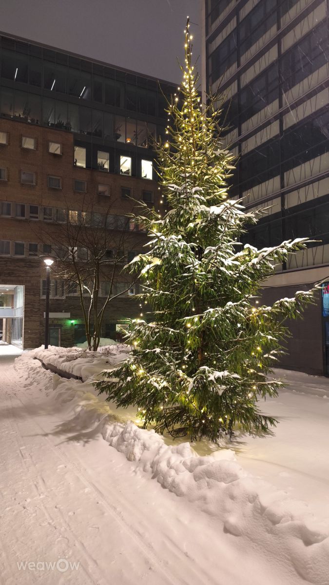 Фотографии Погоды в Швеция. Прогнозы погоды с чудесными фотографиями, сделанными balazs07