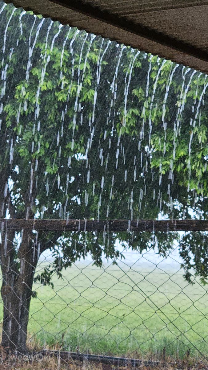 Hình ảnh Thời tiết ở Sao Paulo. Dự báo thời tiết với những bức ảnh đẹp của Fernando Rodrigues Dos Santos