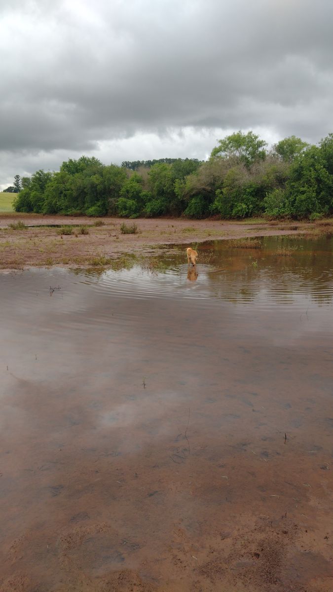 维亚芒的天气照片. 天气预报，带Jonas精美的照片