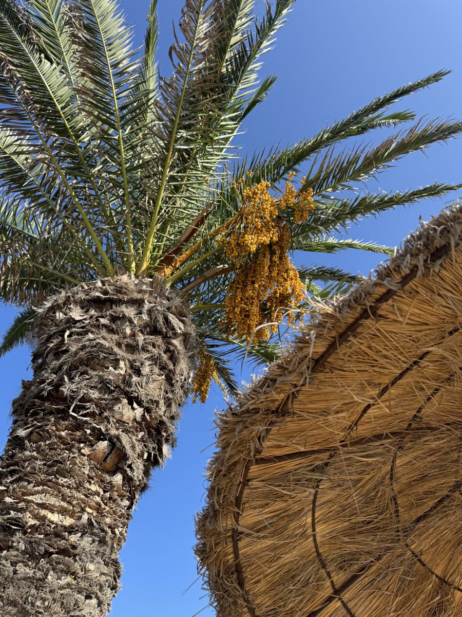 Weather Photos in Tunisia. Weather forecasts with beautiful photos by Kacenkag