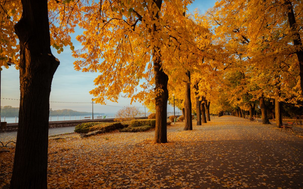 Weather Photos in Vidin. Weather forecasts with beautiful photos by Евгени Евгениев