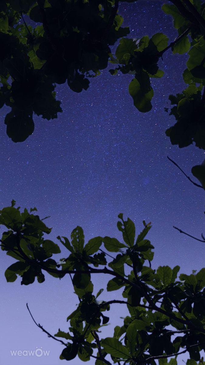 Fotografos Takimi-sky, Fotos do tempo em Gushikawa - Weawow