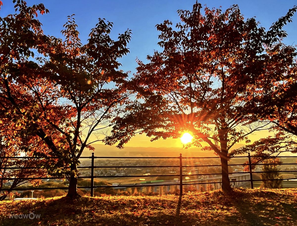 Weather Photos in Saku-shi. Weather forecasts with beautiful photos by Kasumisou