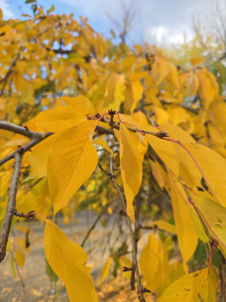 Weather Photos in Dnipropetrovsk. Weather forecasts with beautiful photos by Катя Пулинец