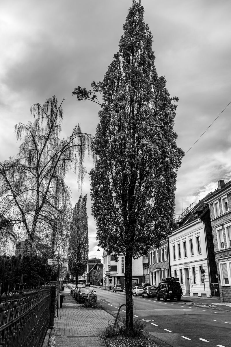 写真家 Lecheval、North Rhine-Westphaliaの天気写真 - Weawow