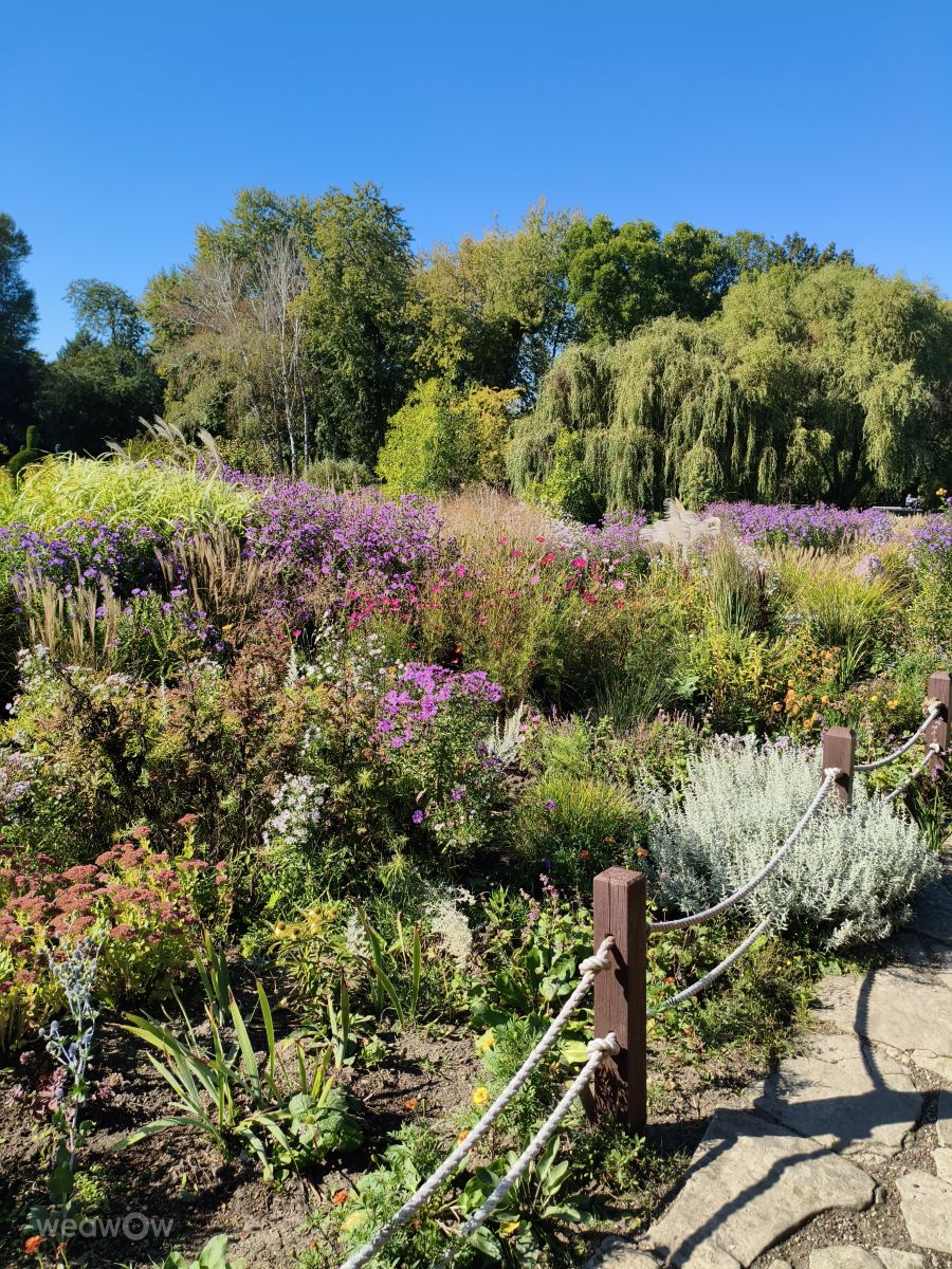Fotos sobre el clima en Municipiul Chisinau. Pronósticos del tiempo con hermosas fotos de InnaMoon