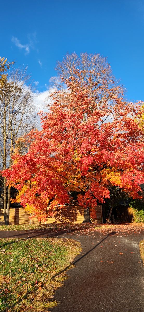 Gow Parkの天気写真. KevinGの美しい写真による天気予報