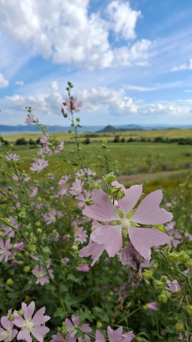 Weather forecasts with beautiful photos by mgmsuut