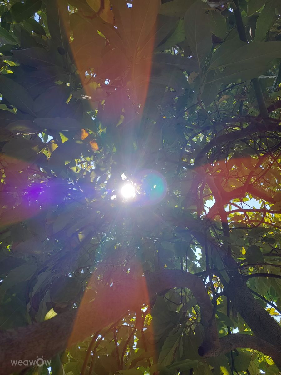 Weather Photos in Edremit. Weather forecasts with beautiful photos by A09080706