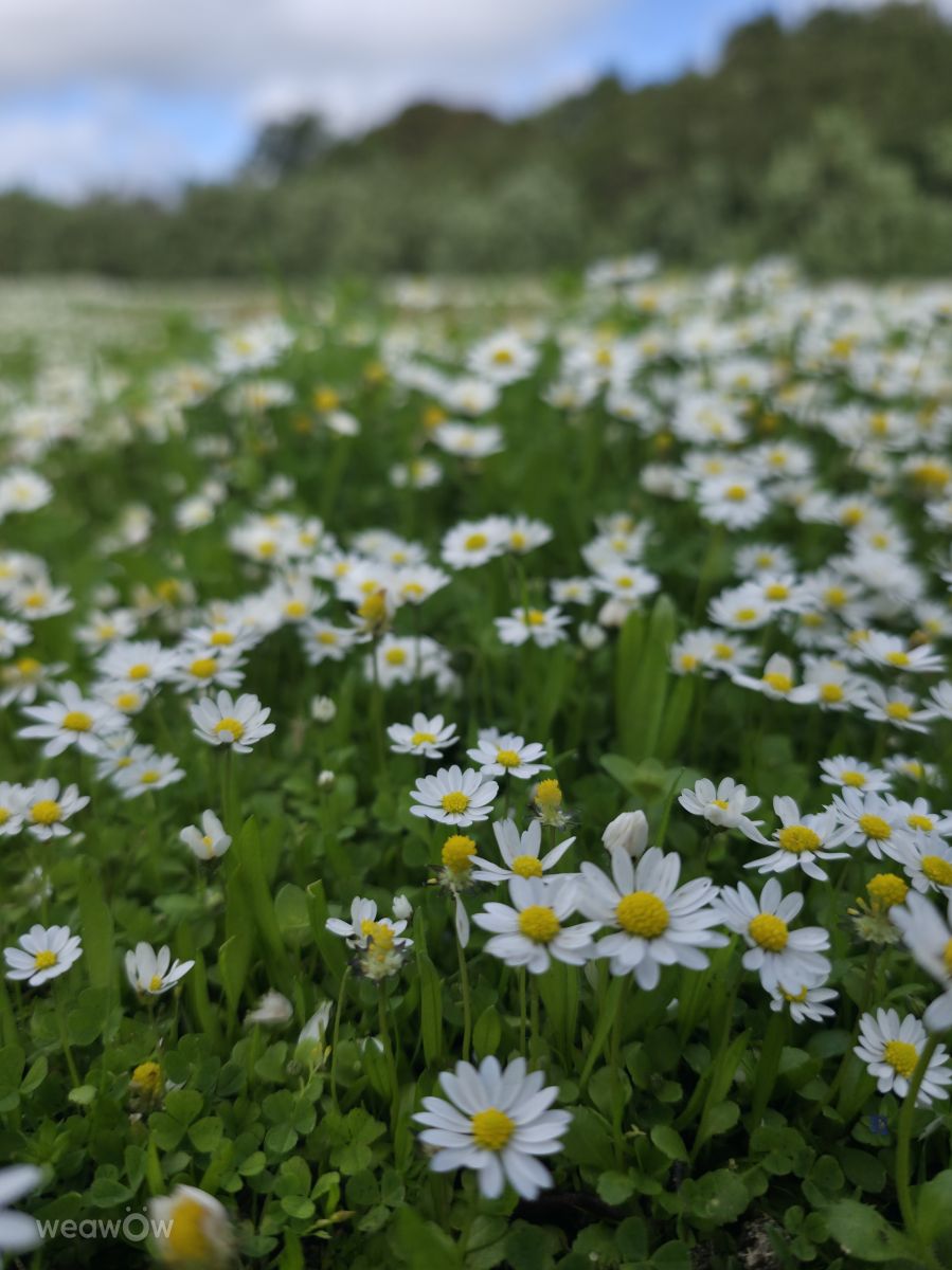 Weather Photos in Portugal. Weather forecasts with beautiful photos by Brtd