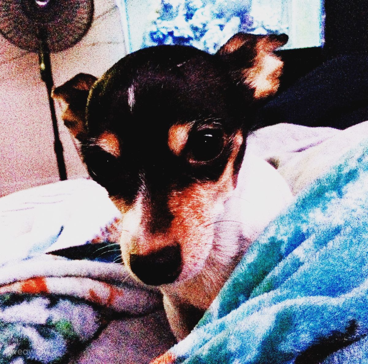 摄影师 Cajungrl26，Louisiana的天气照片 - Weawow