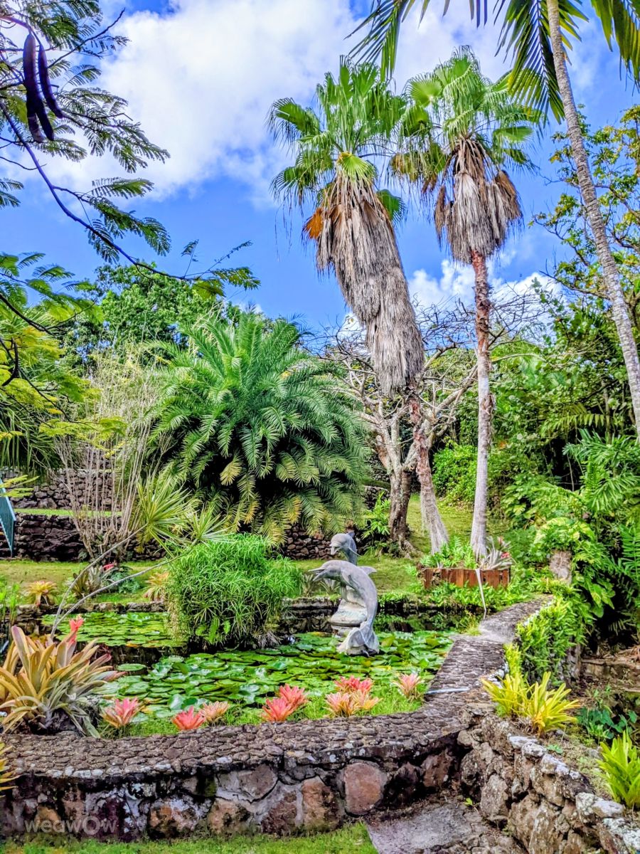 Weather Photos in St Kitts and Nevis. Weather forecasts with beautiful photos by rgo