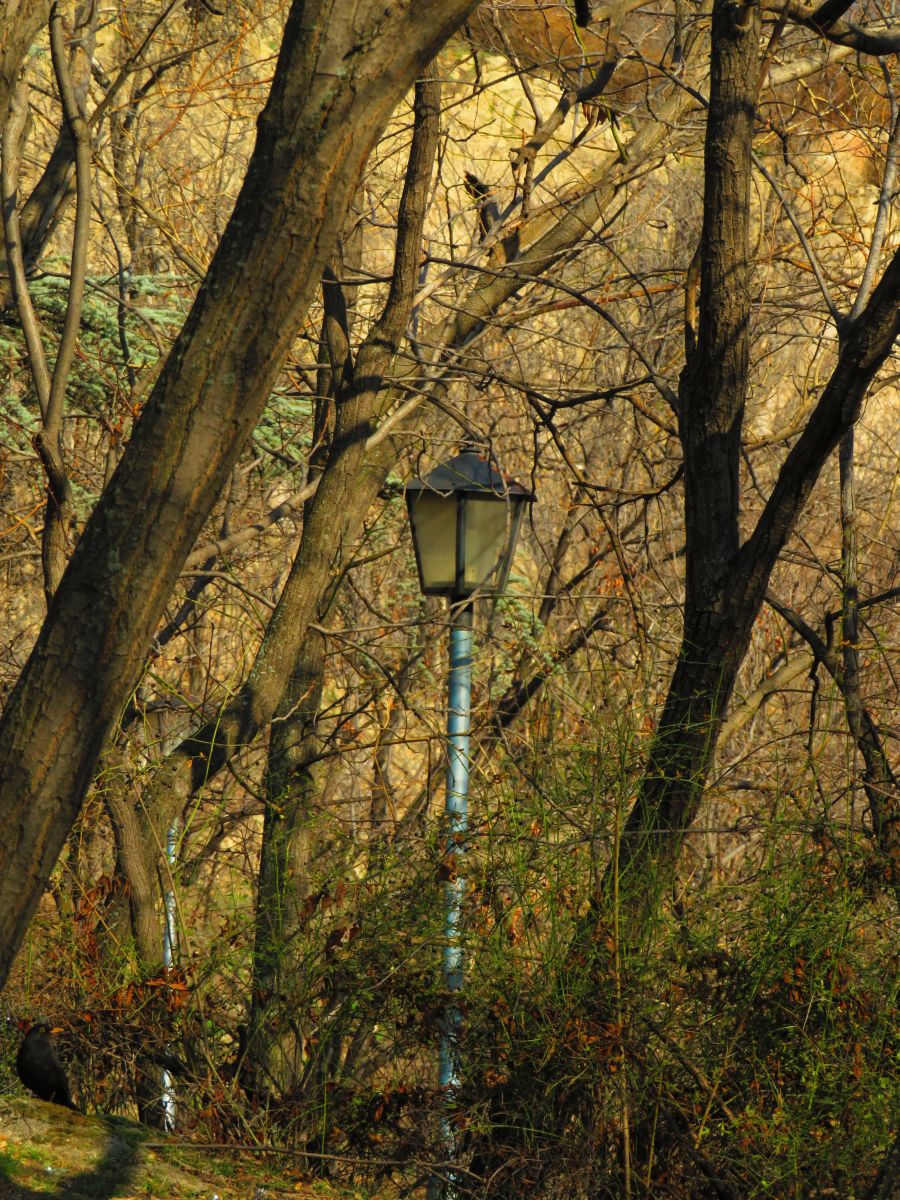 Fotos do tempo em Plovdiv. Previsões do tempo com lindas fotos de Lora_23