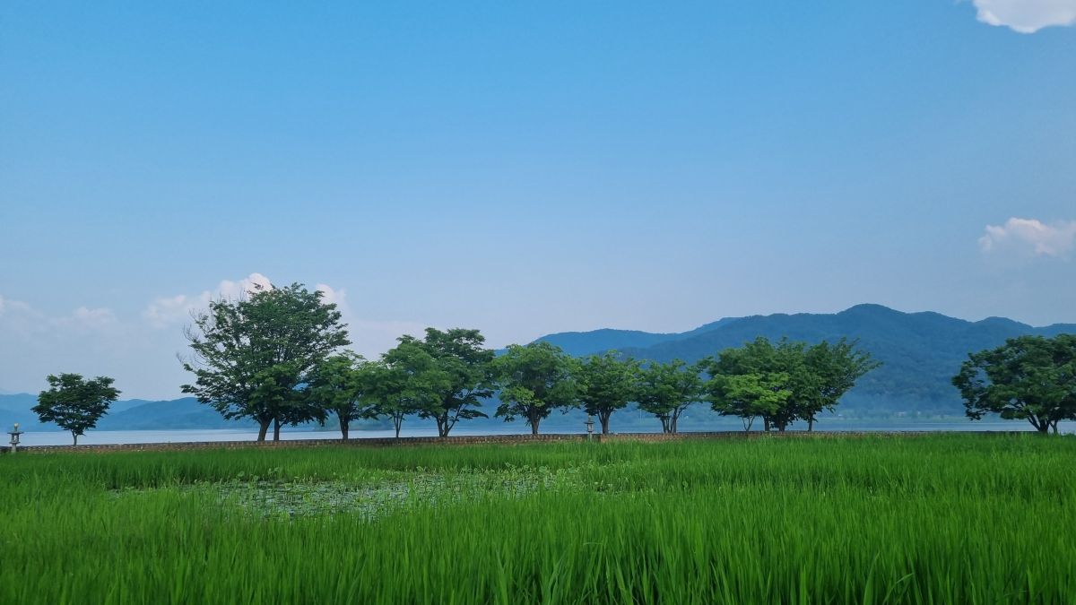 Weather forecasts with beautiful photos by sue_ryu