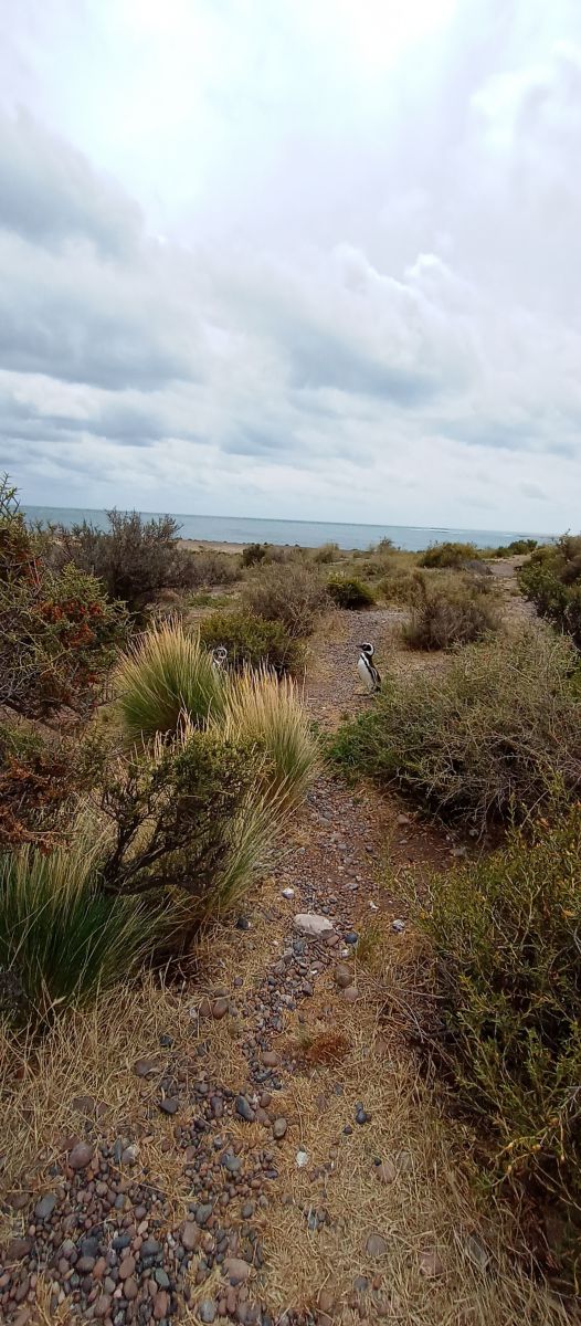 Weather Photos in Chubut. Weather forecasts with beautiful photos by MelLezcano19