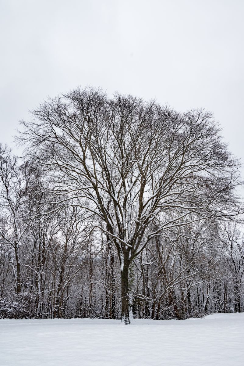 Photos météo à Indiana. Prévisions météo avec de superbes photos de krantzjh