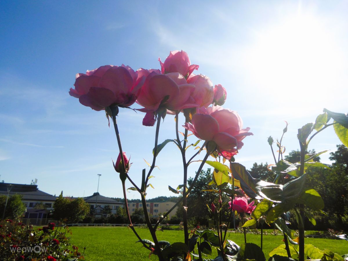 Fotos do tempo em Porvoo. Previsões do tempo com lindas fotos de AlmaGenute53