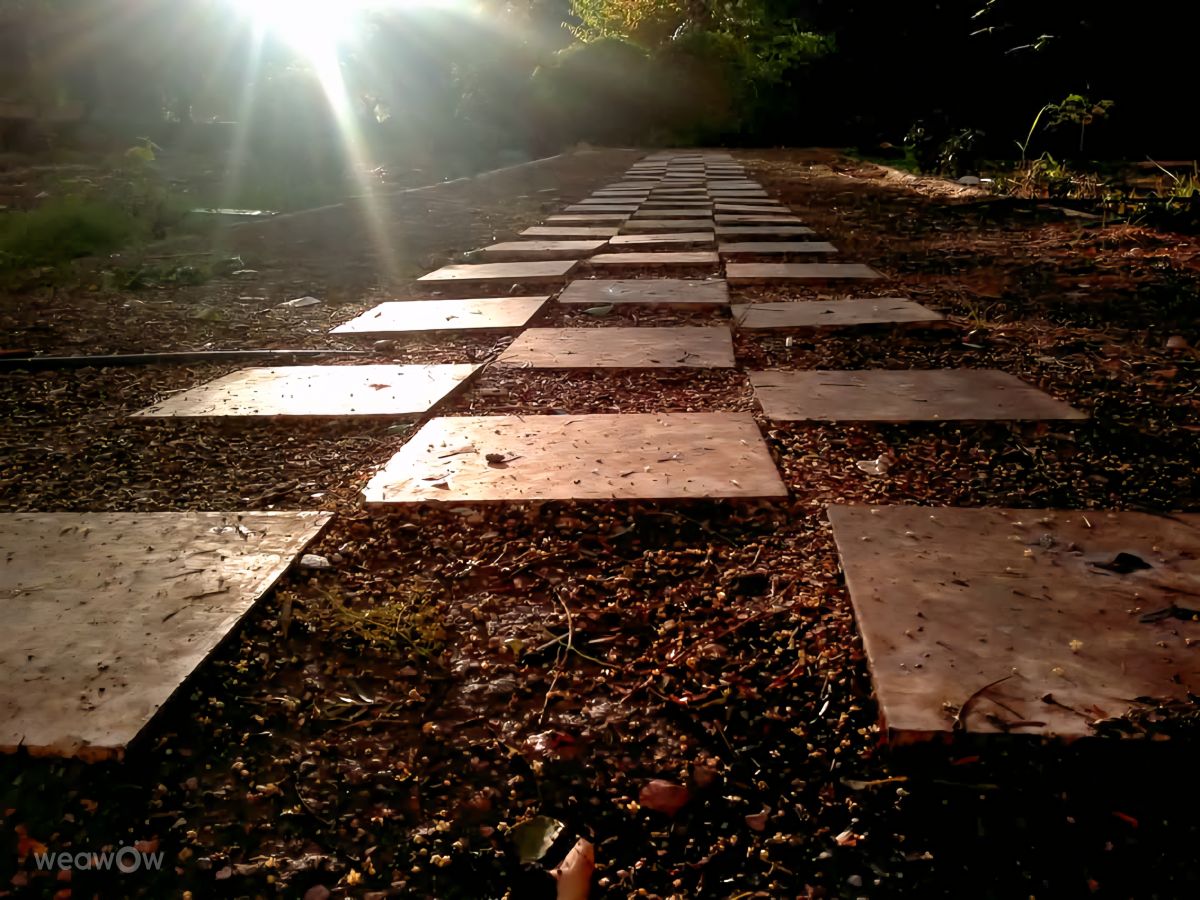 Fotos do tempo em Damasco. Previsões do tempo com lindas fotos de Abdulhalim Orabi