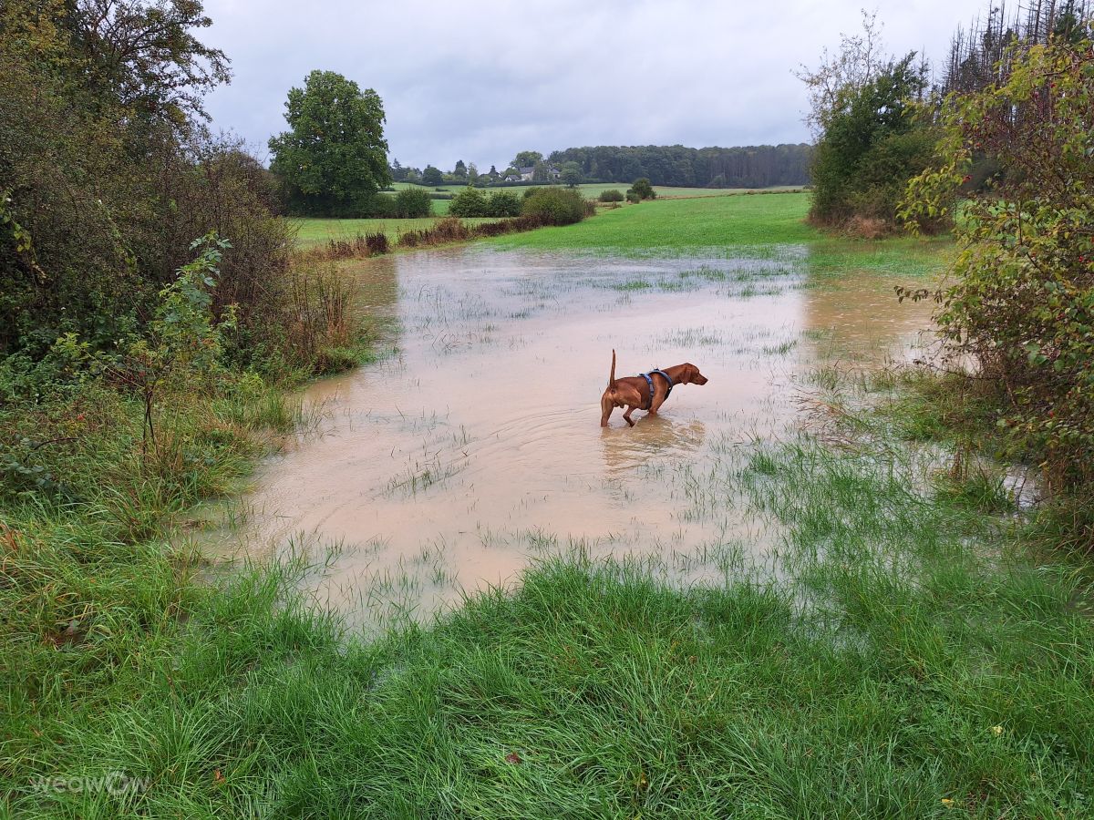 Weather Photos in Luxembourg. Weather forecasts with beautiful photos by lremmy