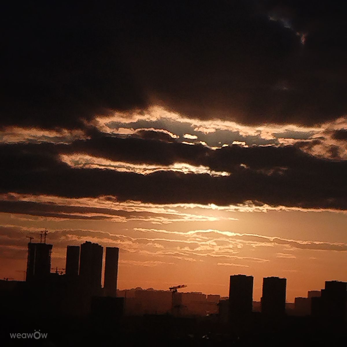 Ринчикの美しい写真による天気予報