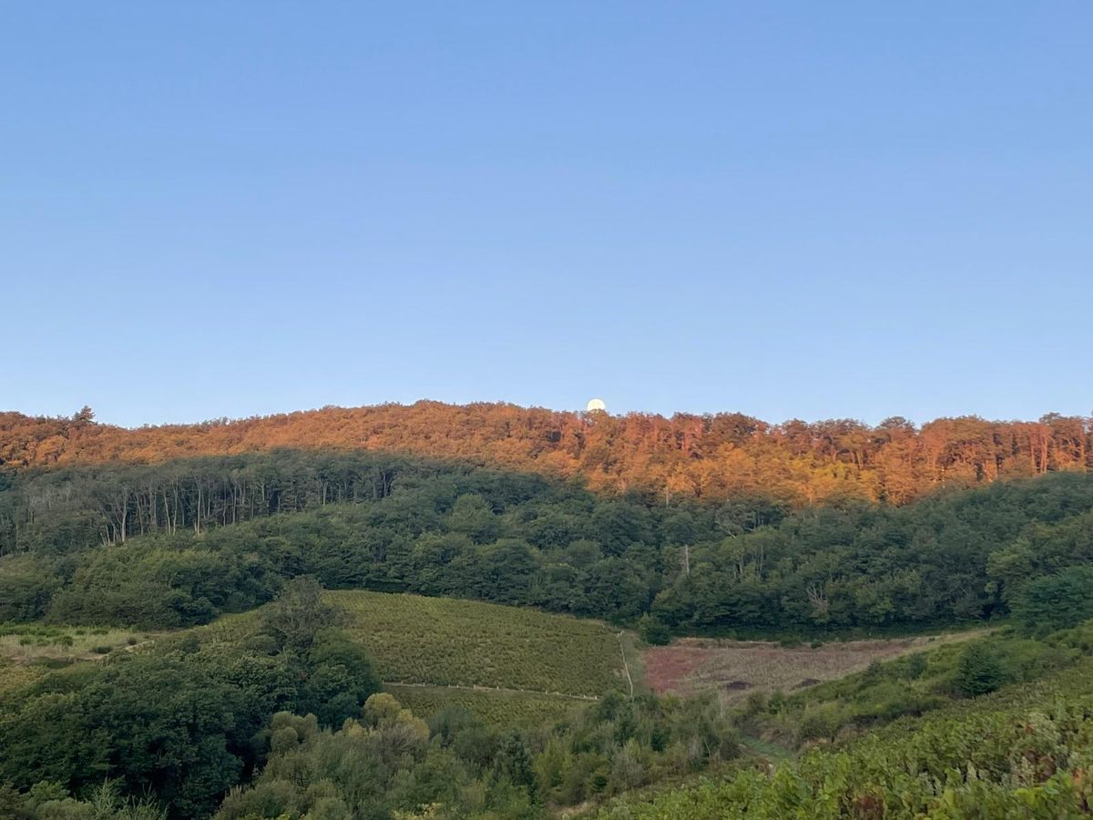 Weather Photos in Beaujolais. Weather forecasts with beautiful photos by Andbot_