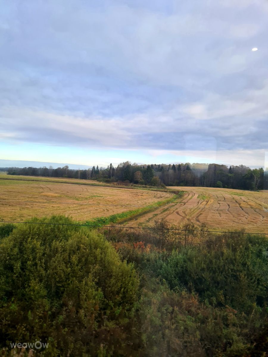 Photos météo à Pskov Oblast. Prévisions météo avec de superbes photos de HelenR