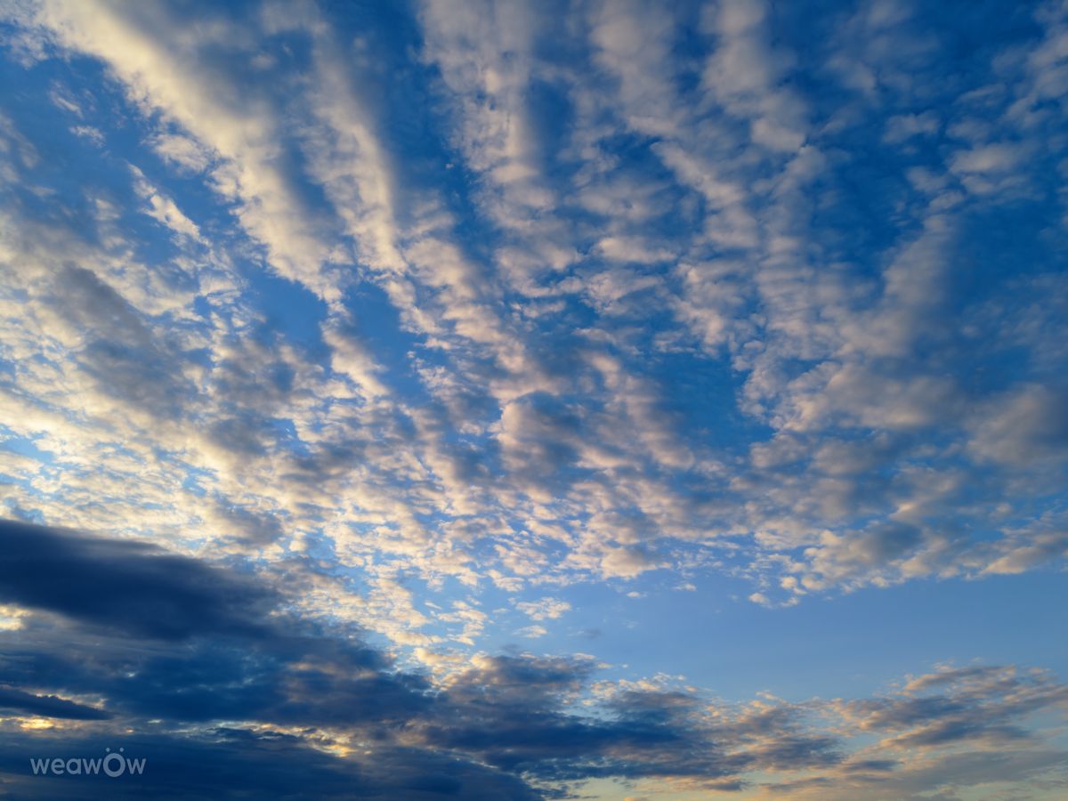 Weather Photos in Świdnik. Weather forecasts with beautiful photos by N1etoper