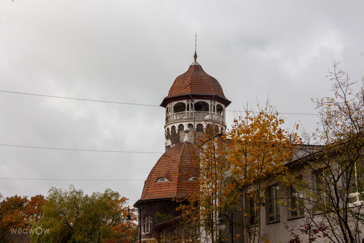 Fotos sobre el clima en Svetlogorsk. Pronósticos del tiempo con hermosas fotos de vintilator