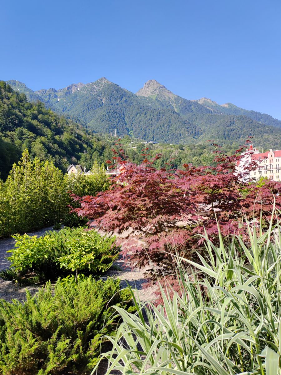 Photographe Albert_Smelovtsev, Photos météo à Roza Khutor - Weawow