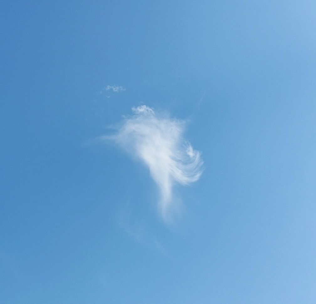 摄影师 Olena-13，Чернигов的天气照片 - Weawow