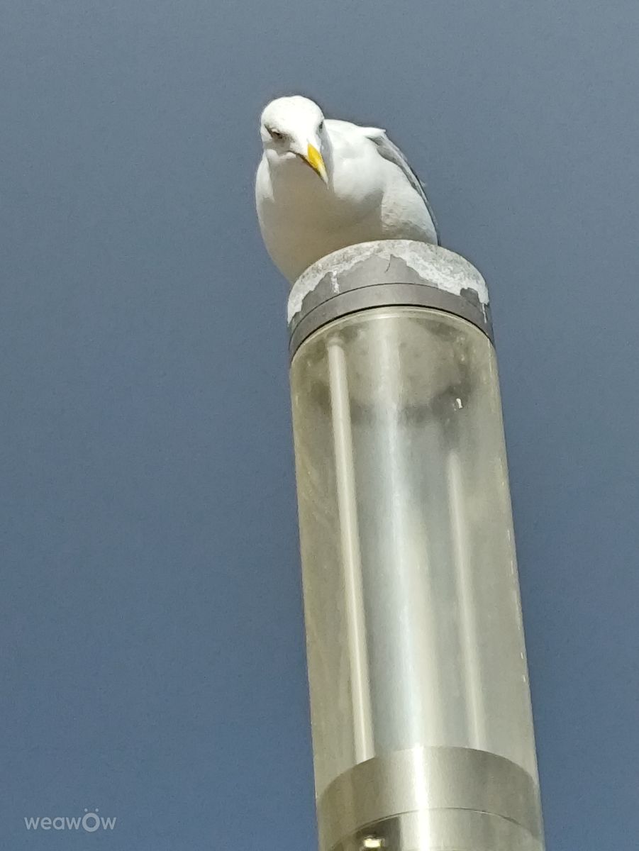 Фотографии Погоды в Lagos. Прогнозы погоды с чудесными фотографиями, сделанными Brtd