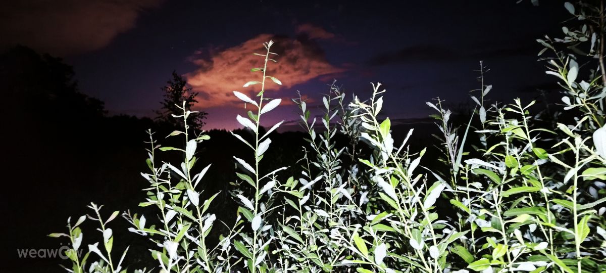 立陶宛的天气照片. 天气预报，带Valiukas精美的照片