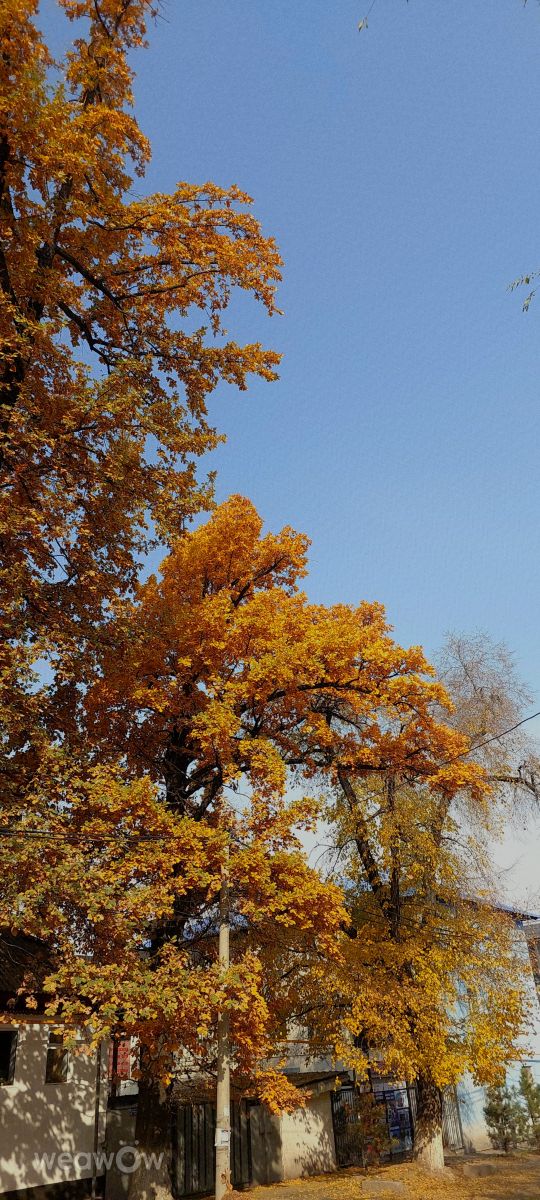 Fotos sobre el clima en Almaty Oblysy. Pronósticos del tiempo con hermosas fotos de Тимур Наурызбаев