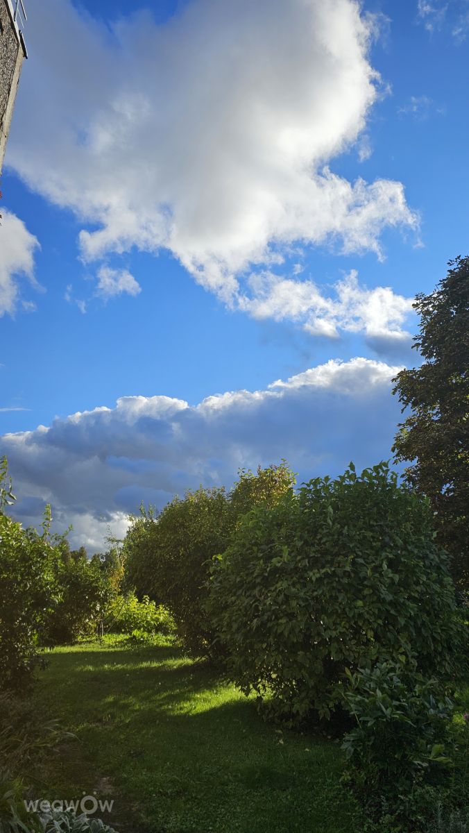 Weather Photos in Ogre. Weather forecasts with beautiful photos by Sandra Bokisha