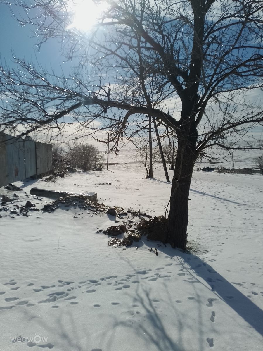 Weather Photos in Mykolayiv. Weather forecasts with beautiful photos by Nsujdc
