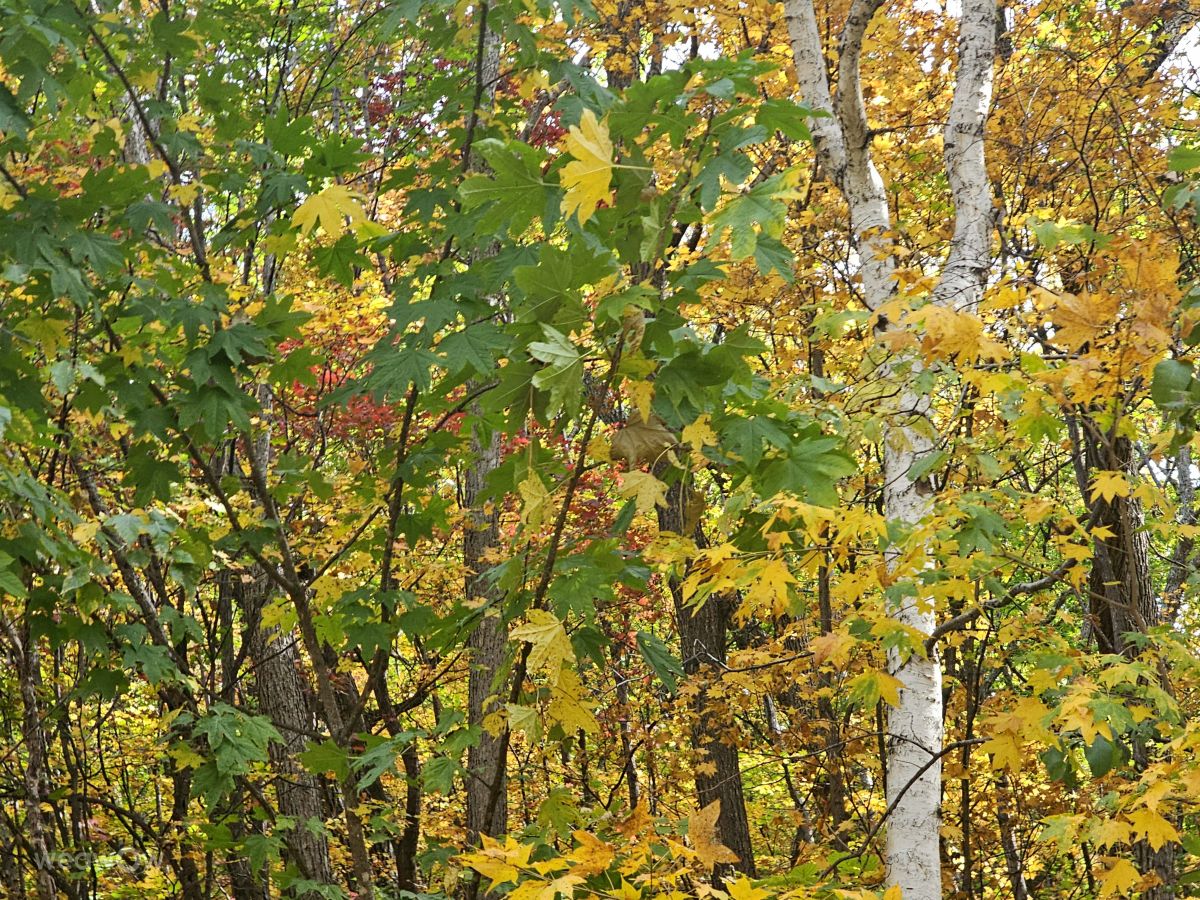 Primorye的天气照片. 天气预报，带ImPe精美的照片