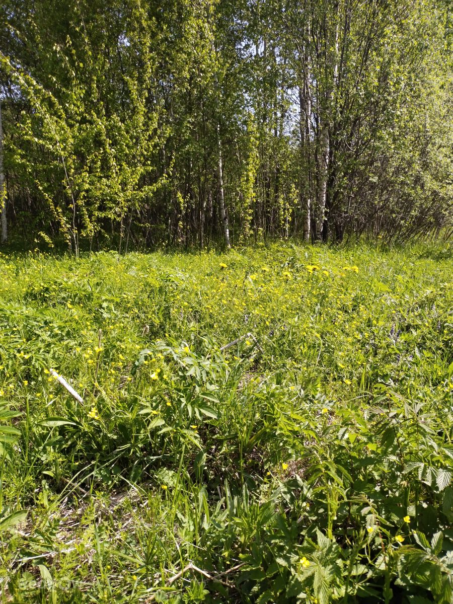 Kostromskaya Oblast'の天気写真. Alex1979の美しい写真による天気予報