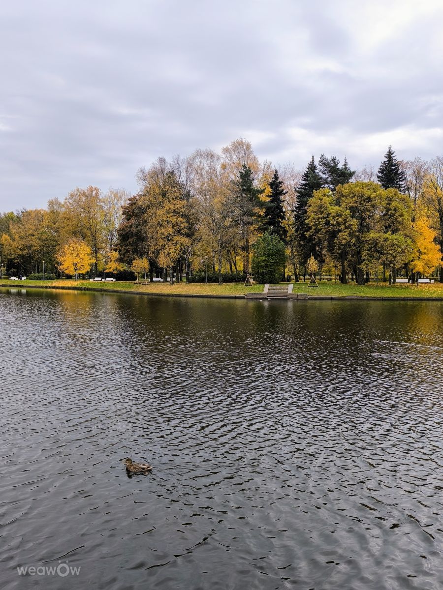 Photographer Jea, Weather Photos in Krestovsky Island - Weawow