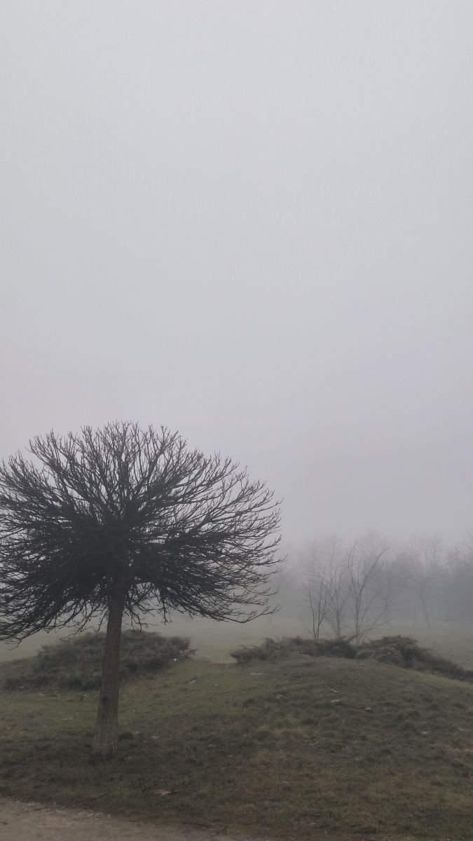 Fotos sobre el clima en Bucharest. Pronósticos del tiempo con hermosas fotos de YanBog