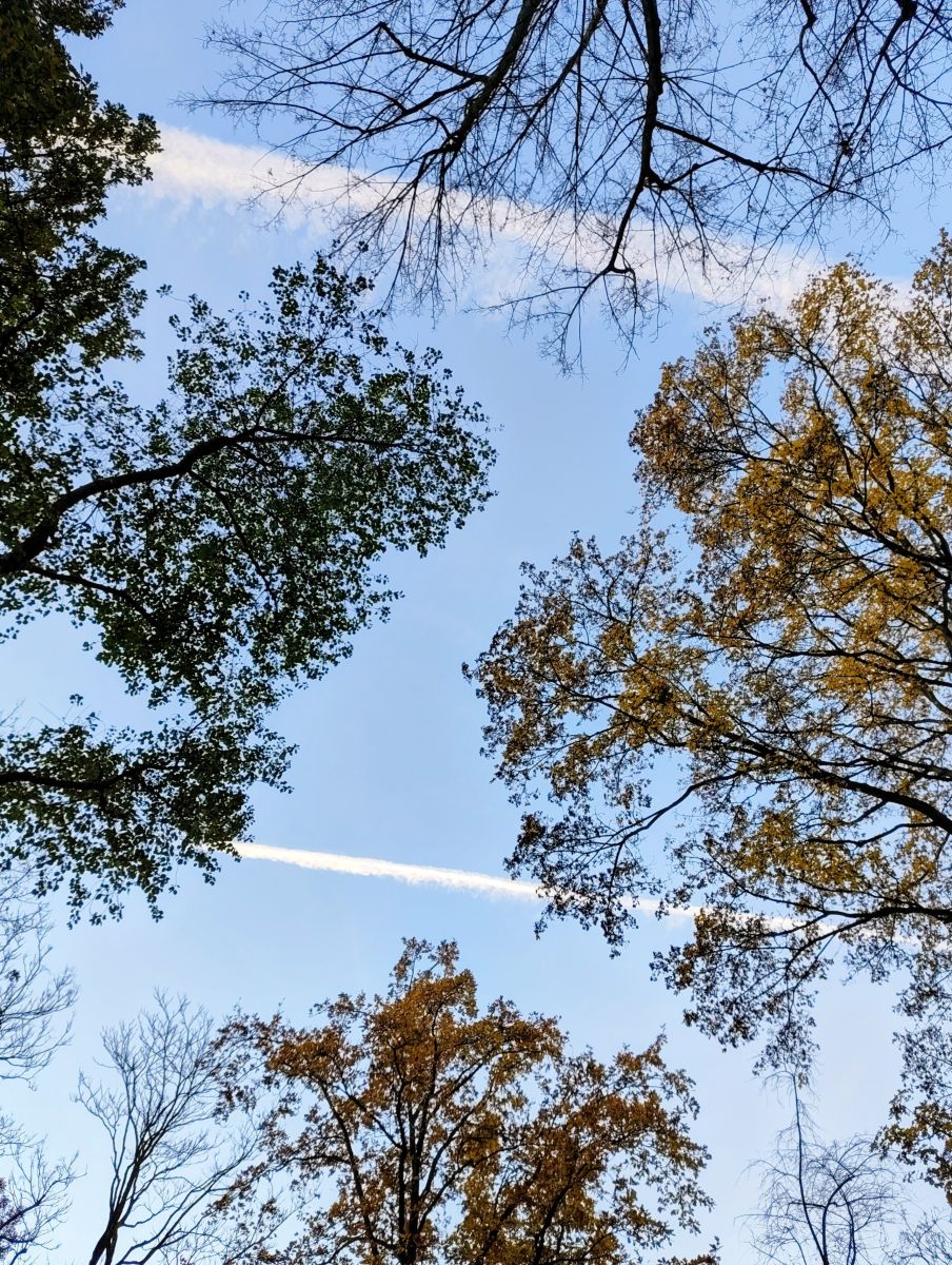 Photographe Gaucho, Photos météo à Berlin - Weawow