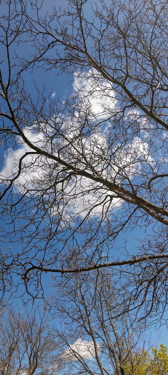 Weather Photos in Madrid. Weather forecasts with beautiful photos by MardPC