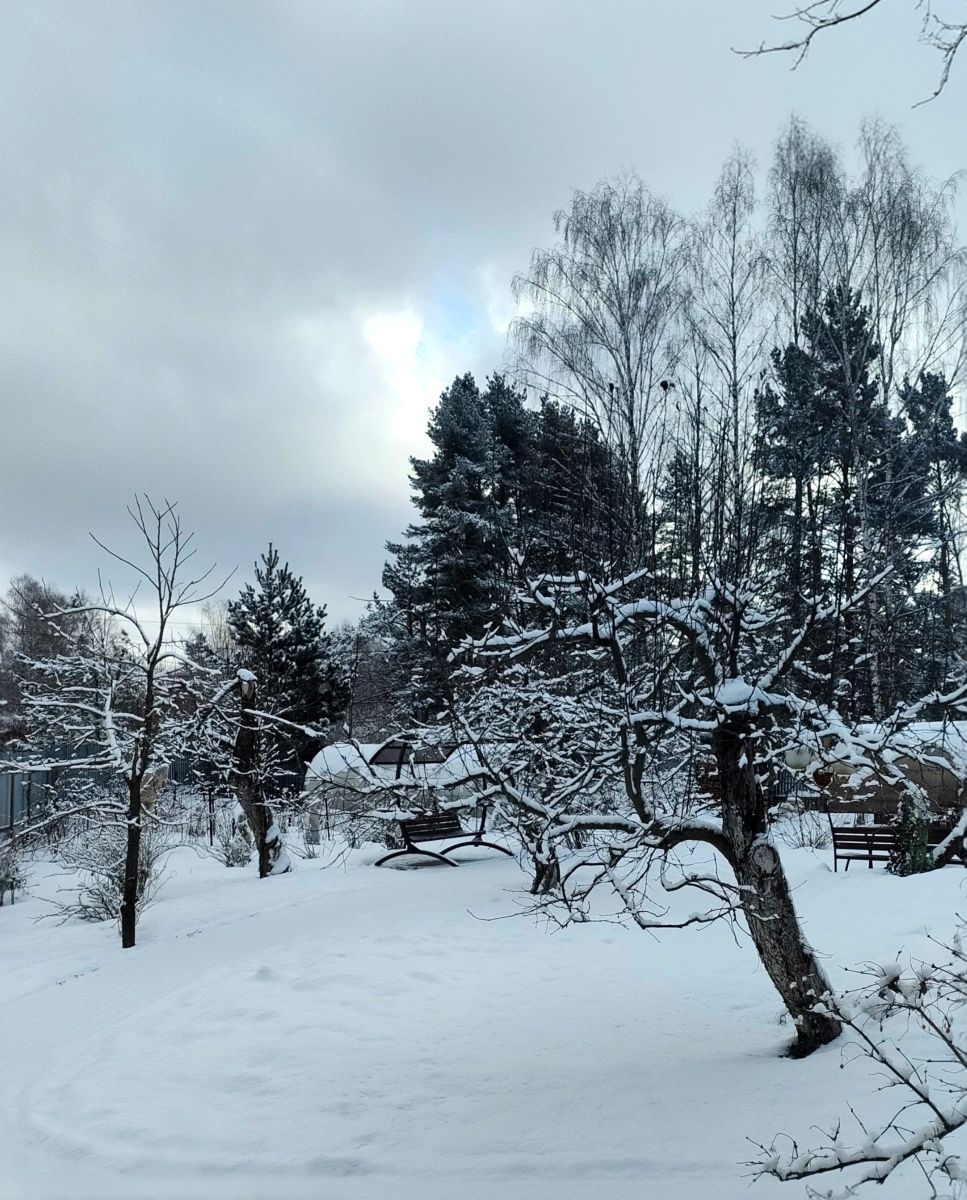 Fotos do tempo em Khot'kovo. Previsões do tempo com lindas fotos de CHerSun