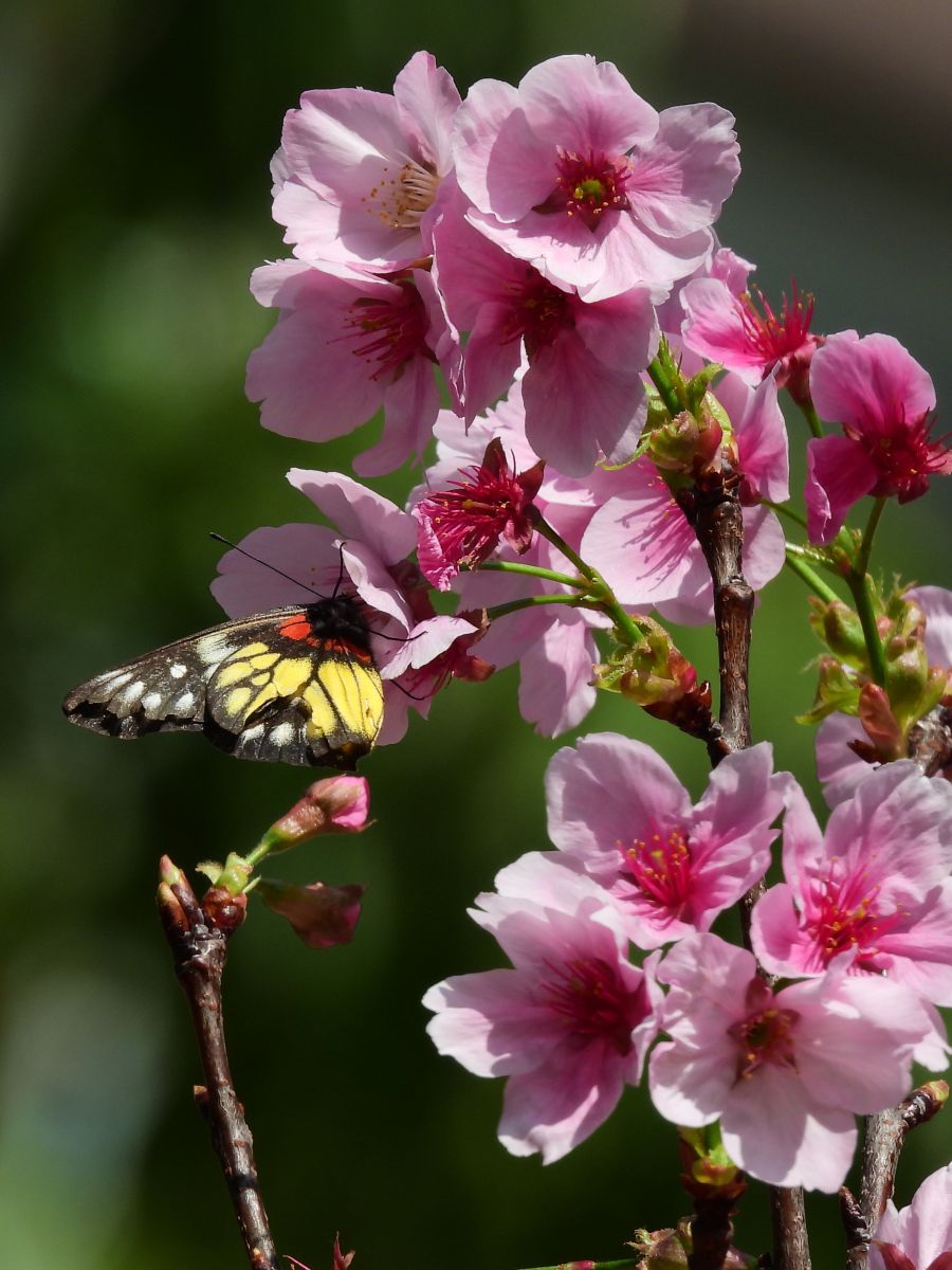 Weather Photos in Hong Kong. Weather forecasts with beautiful photos by Ensign_Lau