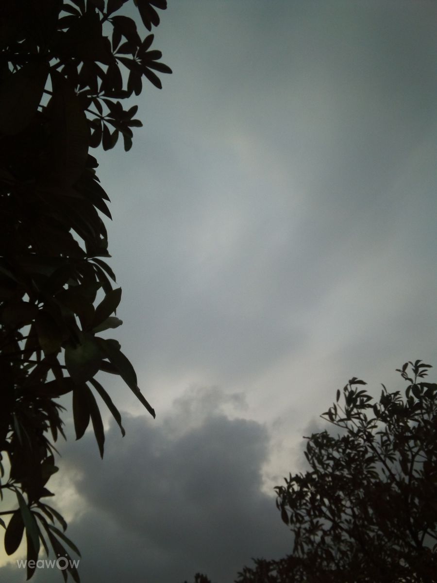 Fotos sobre el clima en Kayamkulam. Pronósticos del tiempo con hermosas fotos de Ashwin