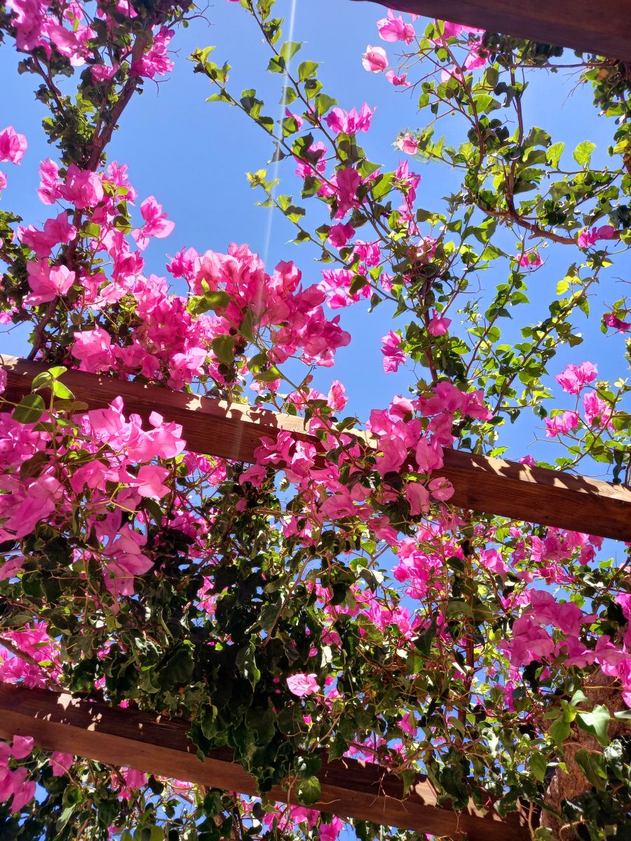 Weather Photos in Crete. Weather forecasts with beautiful photos by Tatar