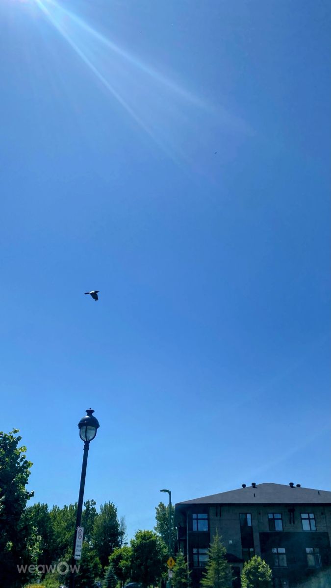 Photograph Lulu5523, Wetter Photos le Plateau - Weawow