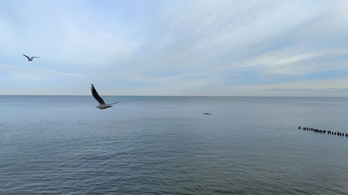 Fotografos Михаил Бондаренко, Fotos do tempo em Pionerskiy - Weawow