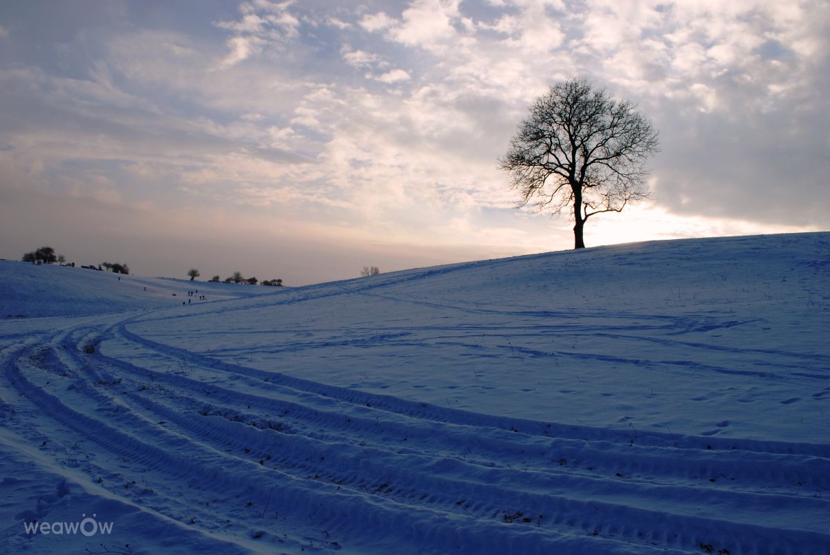 Weather forecasts with beautiful photos by Marcela Cervenakova