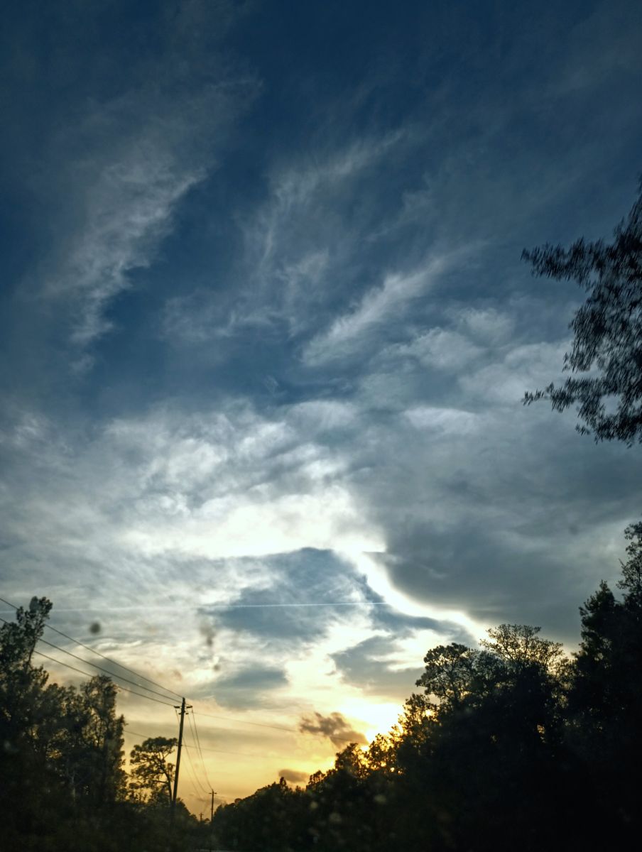 Weather Photos in Florida. Weather forecasts with beautiful photos by Christinam01