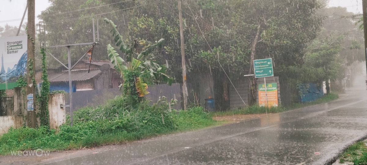 Фотографии Погоды в Керала. Прогнозы погоды с чудесными фотографиями, сделанными saumyachinmayan